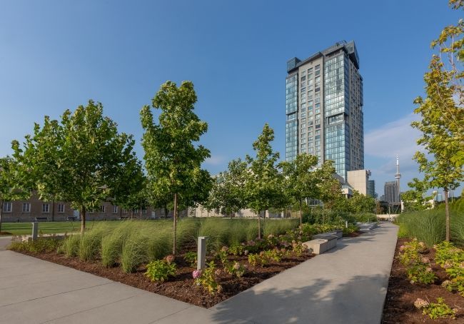 Exterior grounds surrounding Hotel X Toronto and Stanley Barracks with ample greenery and walkways.