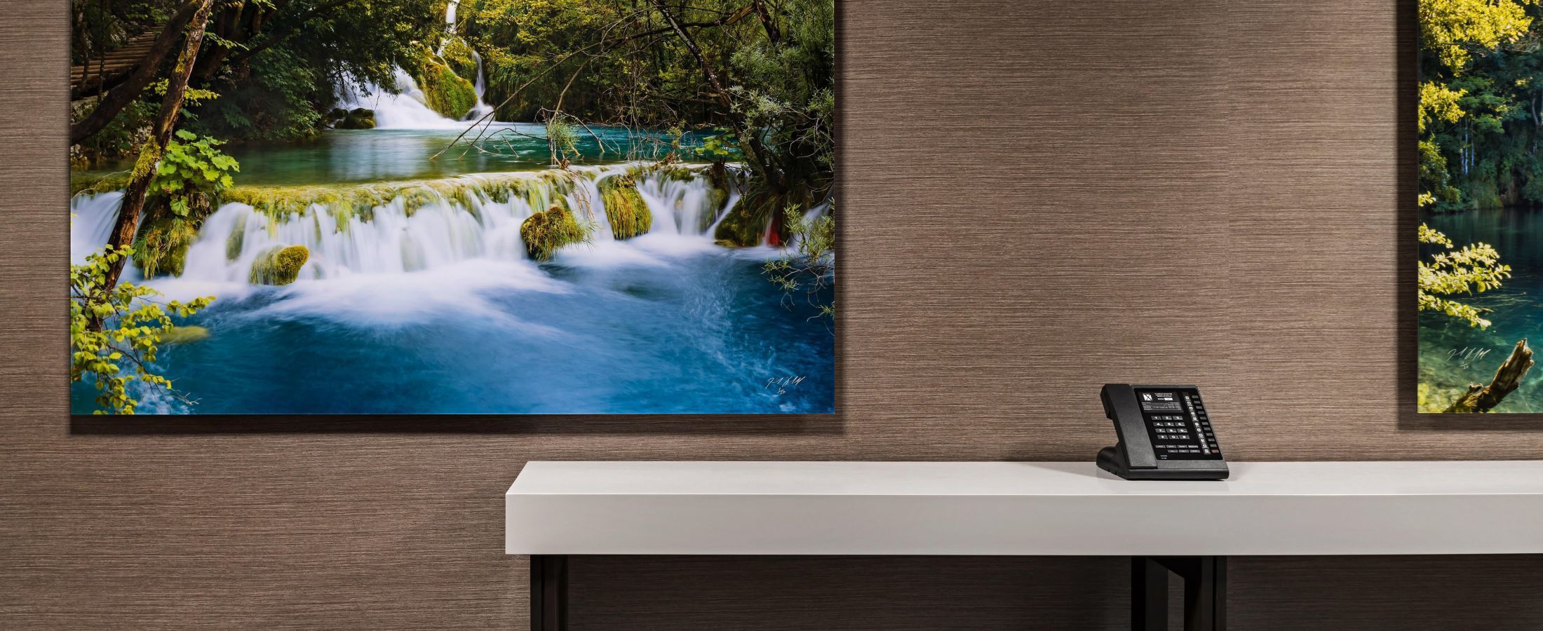 Nature inspired photographic art by Neil Dankoff is displayed throughout Hotel X Toronto.